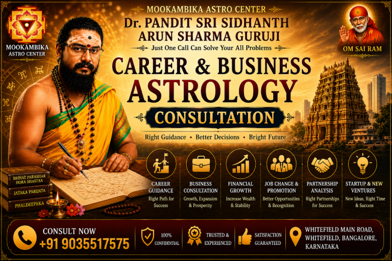 Career & Business Astrology Consultation
